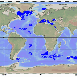 Map of the Biogeochemical Argo float stations included in the database. The map is drawn by the Ocean Data View software (R. Schlitzer, Ocean Data View, http://odv.awi.de)