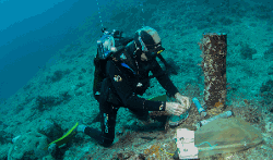 Temperature sensor survey: intervention by Bertrand Bourgeois, diver at the SEOH (Hyperbaric Operations Execution Service) in the Passe d’Ouaraï, in New Caledonia.
