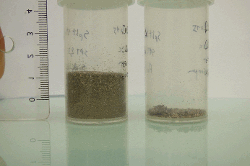Result of density separation on a sample from station Collioure. The “sink” part is on the left and the “float” part on the right.