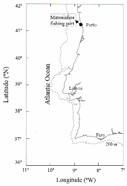 Geographical location of Matosinhos, the fishing port where samples of Trachurus picturatus were taken