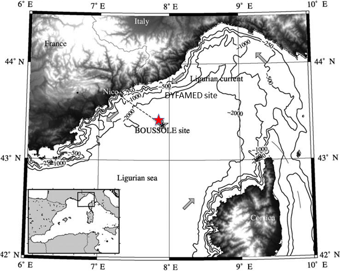 Overview