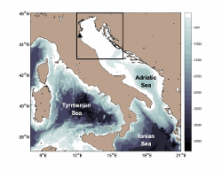 Overview map and location of the study (black triangle) area overlain on the bathymetry from GEBCO Compilation Group (2019) GEBCO 2019 Grid
