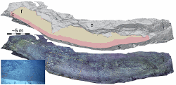 3D scene of a fault scarp, showing both a untextured (top) and textured view (bottom). Inset in the bottom left is a video frame extraction of the area shown by the dashed box. the fault plane is indicated by the coloured transparency, for both the band recently exposed by the earthquake (c), the preserved fault plane previously exposed (f). The model also shows the eroded fault scarp (e) and the sedimented seafloor at the base of the scarp (s). See Escartin et al. (2016) for further details