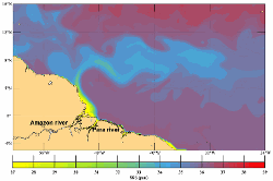 Mean Sea Surface Salinity (September)
