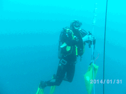 Diver operating on the thermistor line