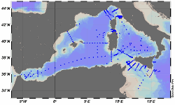 Map of the hydrological casts acquired in the period 2007-2020 in the cenral and western Mediterranean