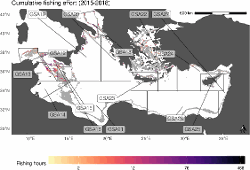 Cumulative fishing hours 2015-2018 within the 400-800m depth stratum in the Central-Estern Mediterranean Sea