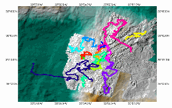 ROV VICTOR tracks at the Rainbow Massif (Arc-en-sub 2022 cruise). Shaded relief is from microbathymetry acquired with AUV IdefX (doi:10.17882/89445) during the same cruise