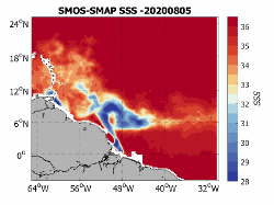 Example of SMOS SMAP High Resolution SSS map : Amazon plume region on August 5th 2020
