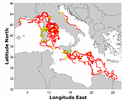 In red and black all 138  drifters’ tracks acquired during the experiments between 1998 and 2022.