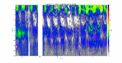 Synthetic echogram collected at 38 kHz