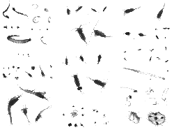 imageIllustration