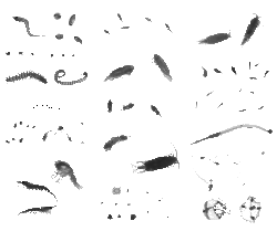 imageIllustration