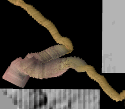imageIllustration
