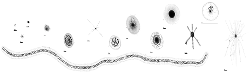imageIllustration