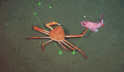 imageIllustration