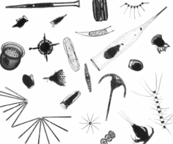 imageIllustration