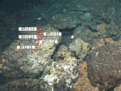 imageIllustration
